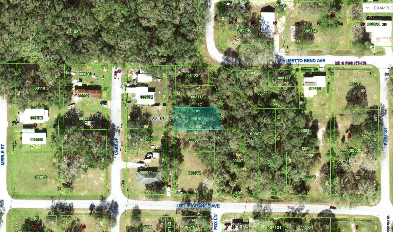 Little Orange Ave, FL