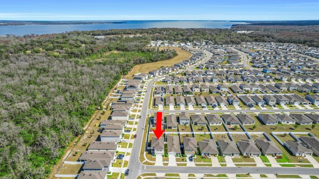 3429 Curlew Avenue, FL