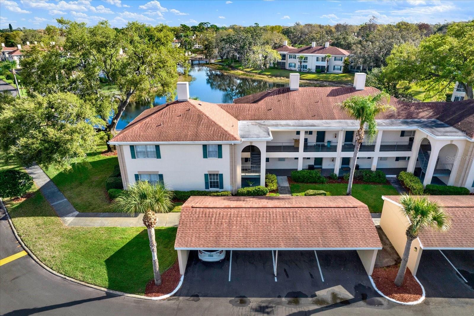 10330 Carrollwood Lane, FL