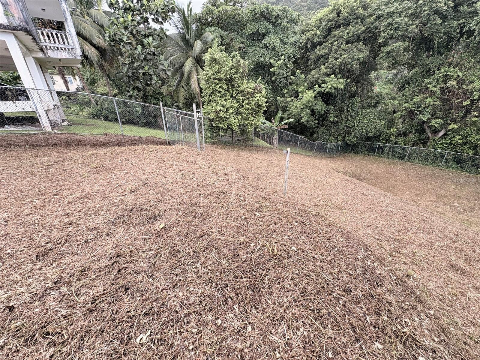 Bo Pitahaya, PR