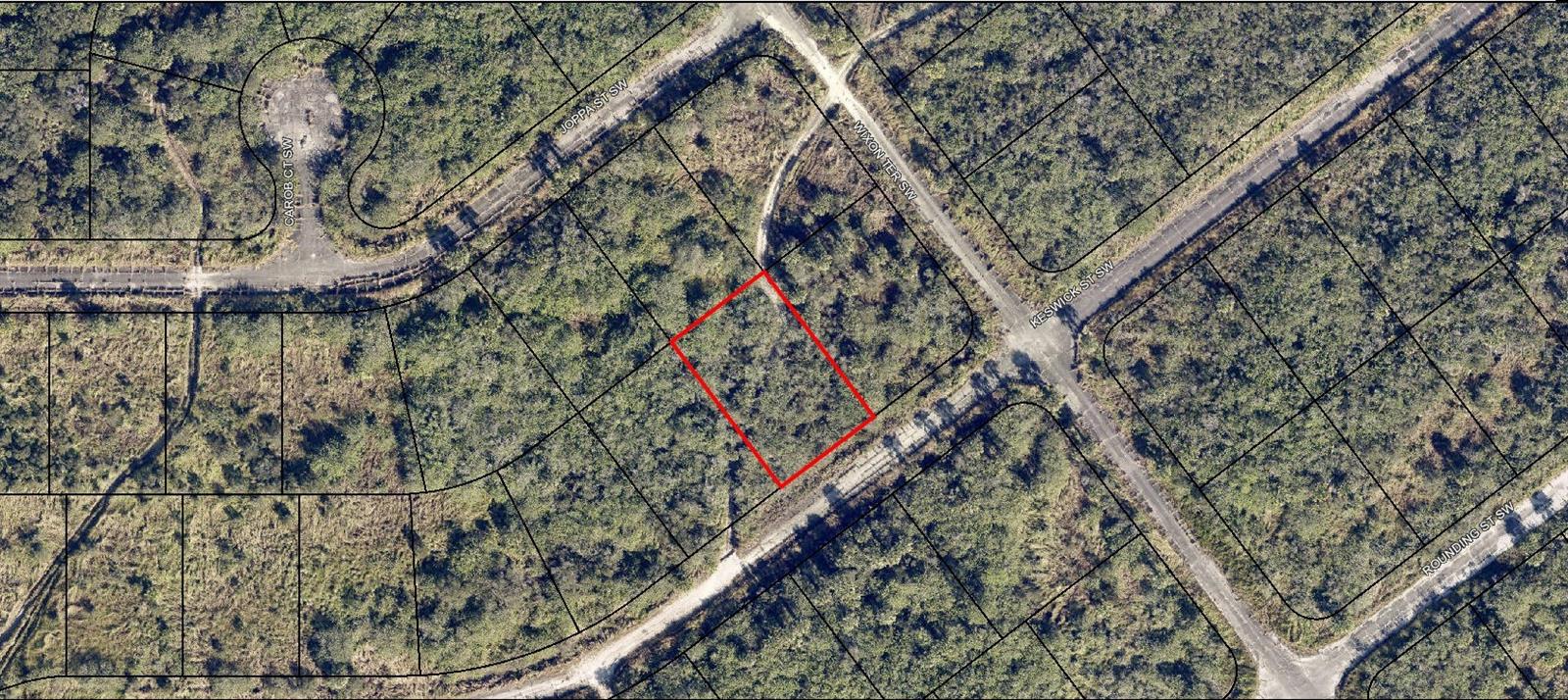 971 Keswick Street, FL