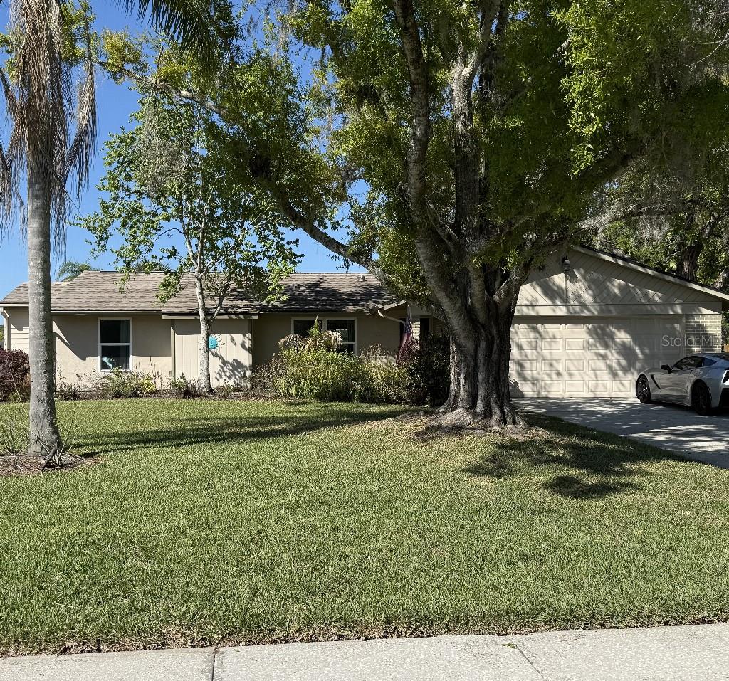 408 Lakeview Drive, FL