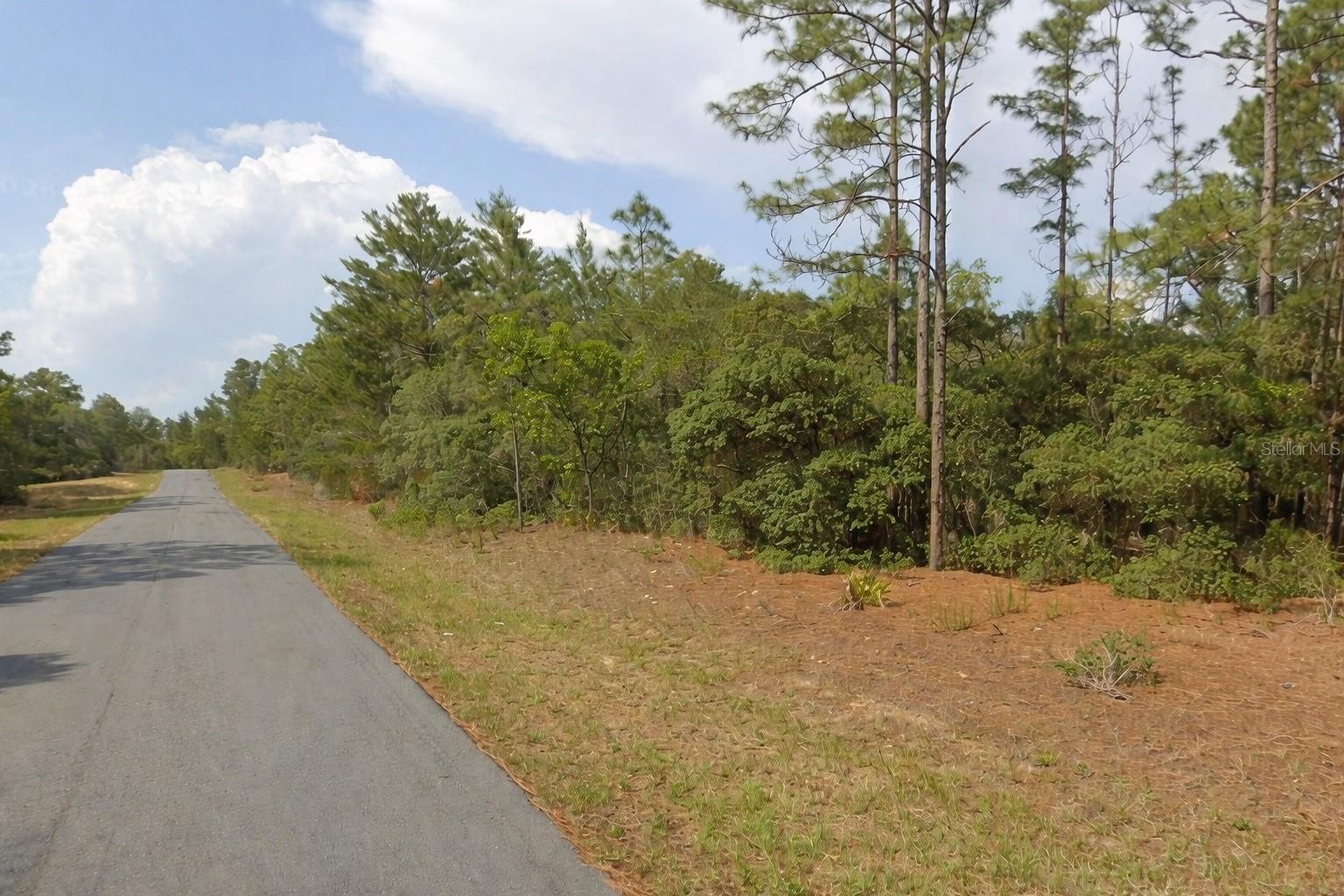 11033 N Trigger Ter, FL