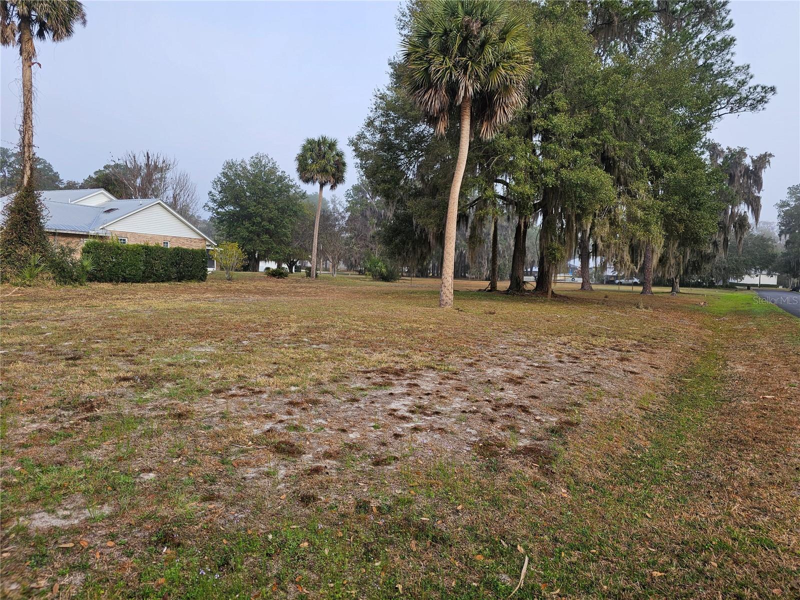 000 Mount Royal Ave, FL