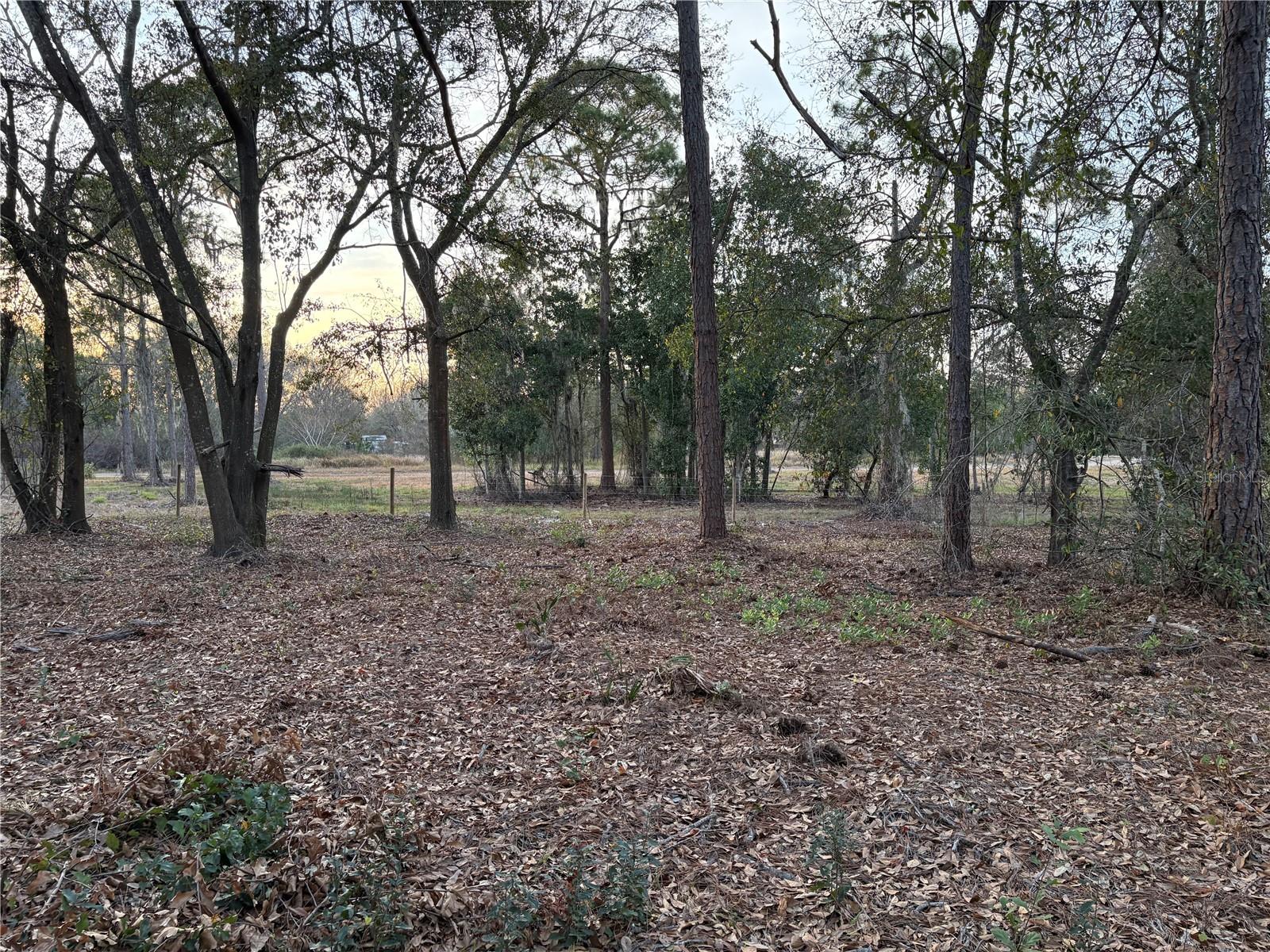 0 Alturas Babson Park Cutoff Road, FL