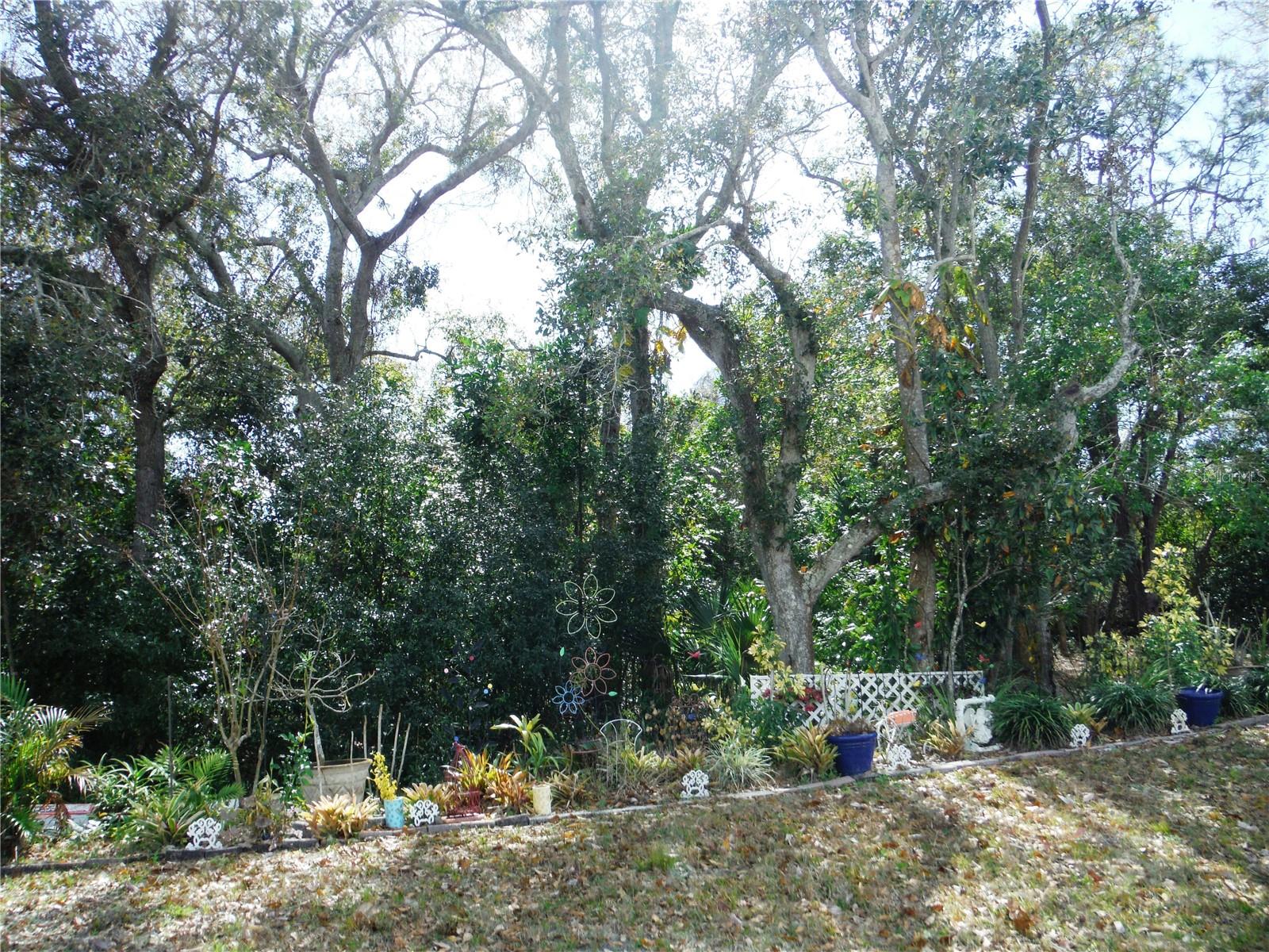 124 Juniperus Drive, FL