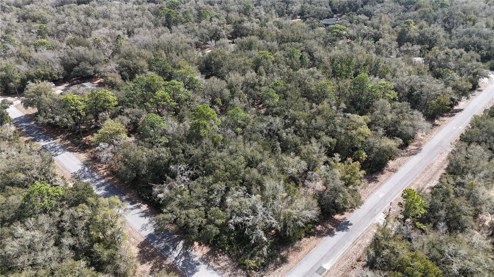 12786 Cornflower Drive, FL
