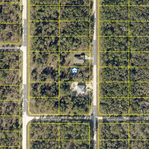 Lot 16 Canvasback Road, FL