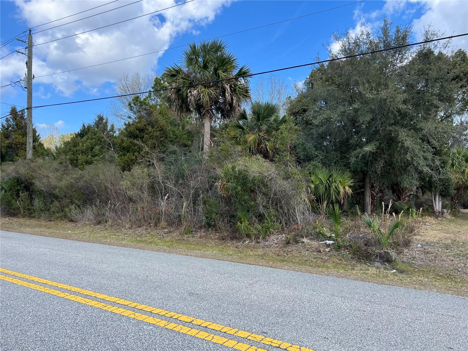 164 Bird Of Paradise Drive, FL