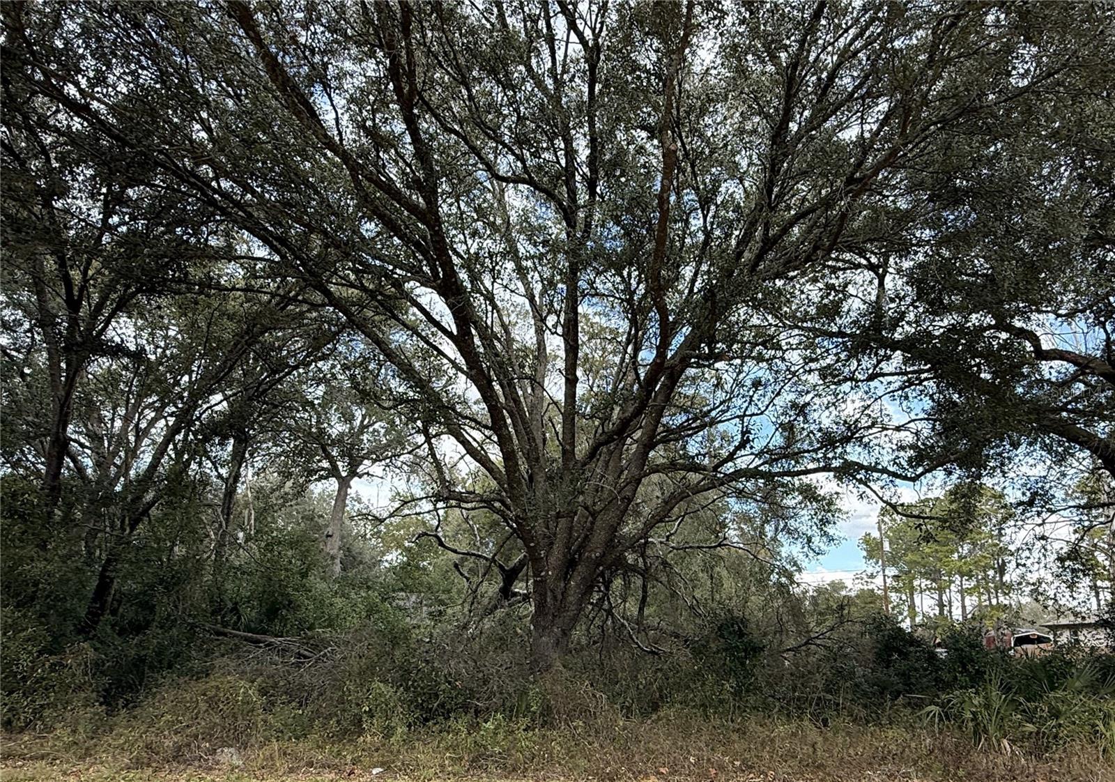 0 Hilda Rd, FL