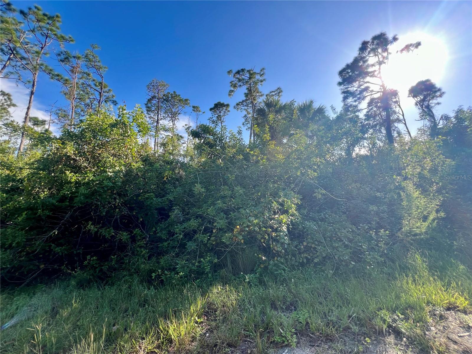 Jubilee Circle, FL