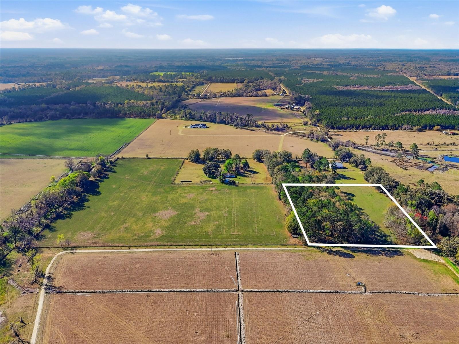 County Rd 239, FL