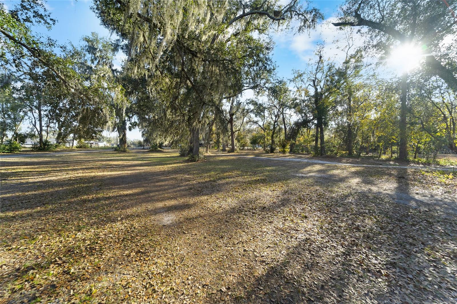 3007 Owls Nest Lane, FL