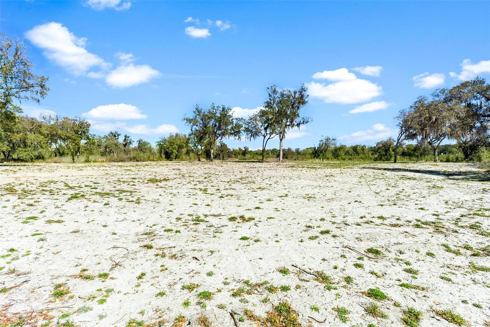 1428 Oxford Preserve Trail, FL