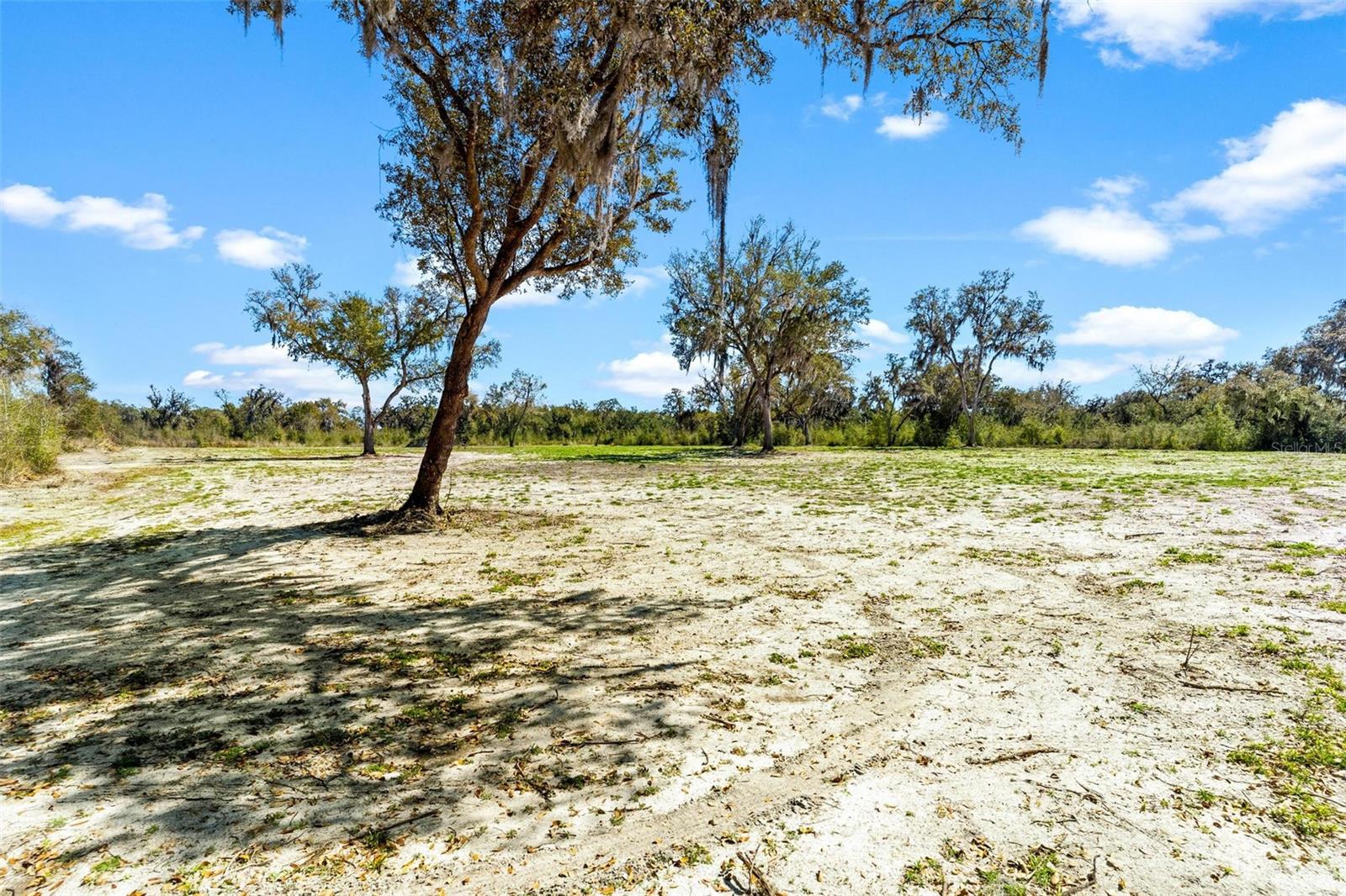 1428 Oxford Preserve Trail, FL