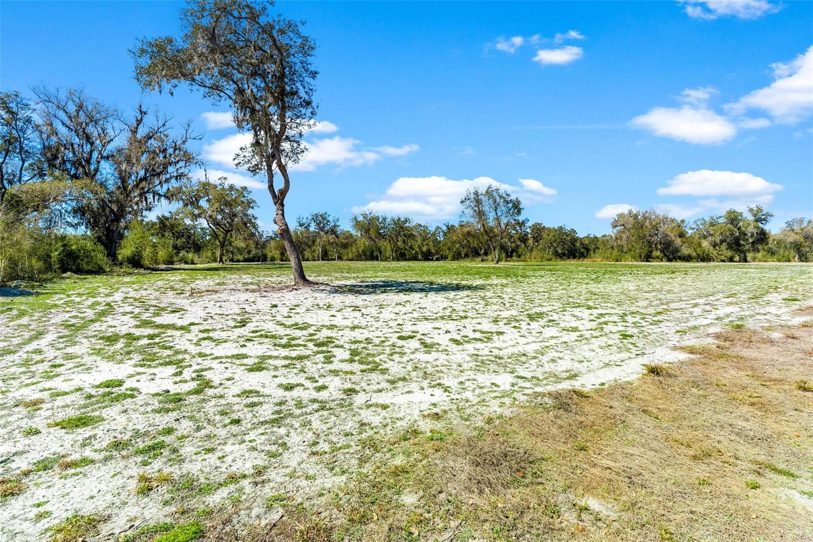 1428 Oxford Preserve Trail, FL