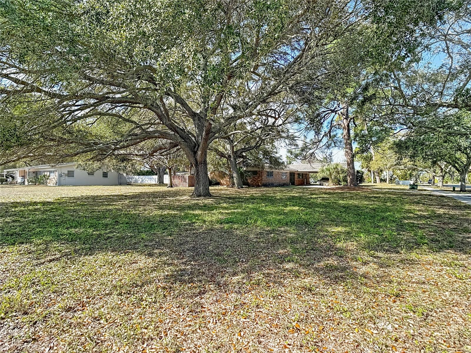 3700 Dana Shores Drive, FL