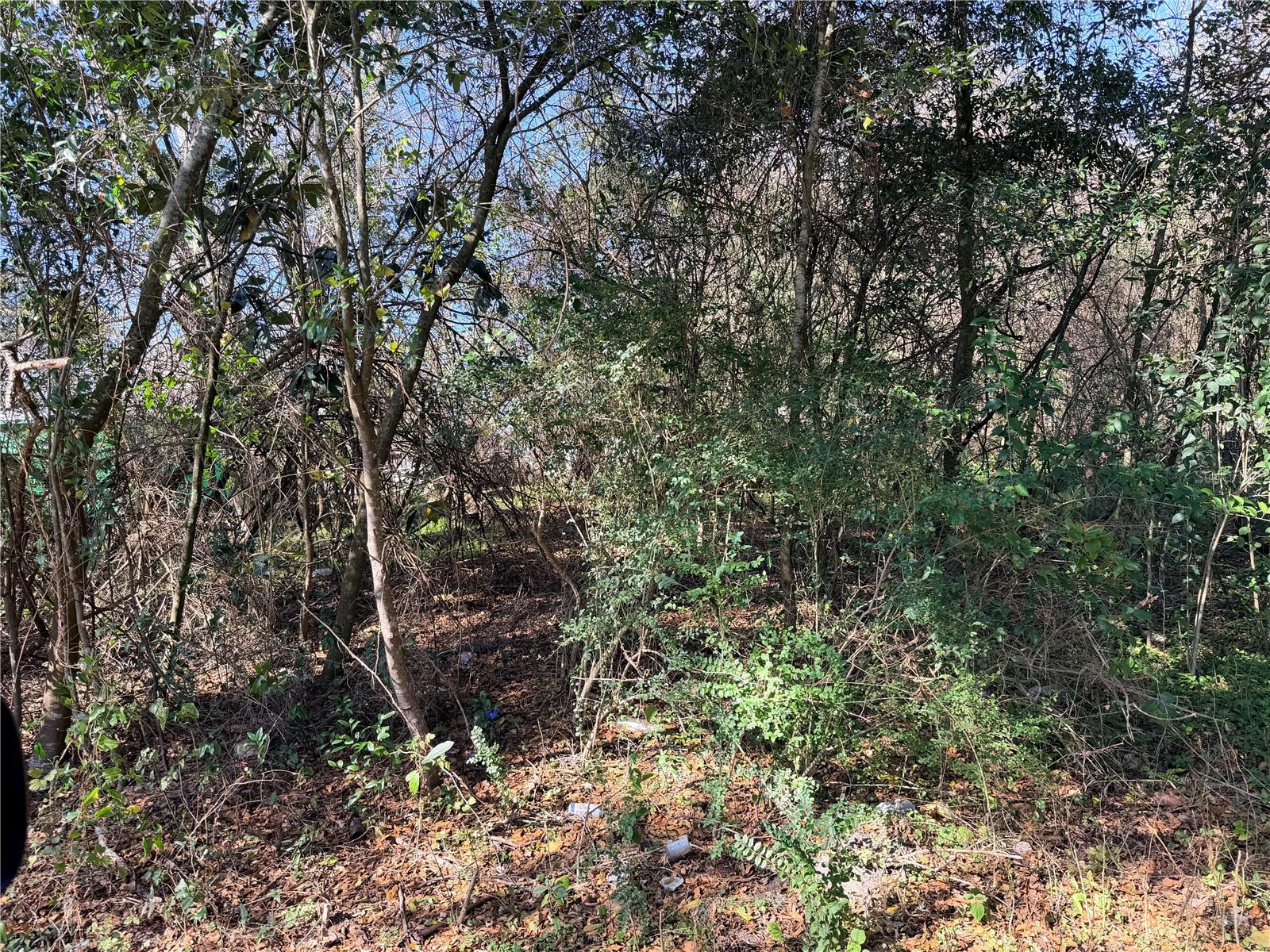 Tbd Nw 151st Ave, FL