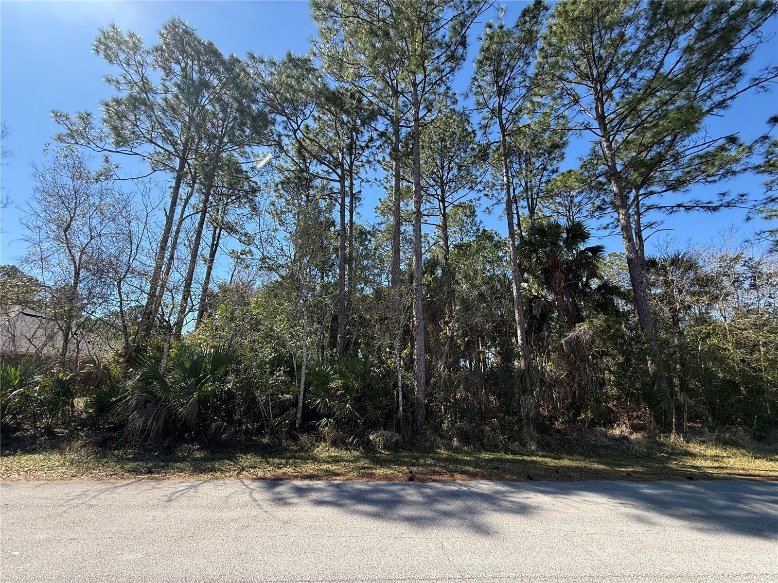 28 Phoenix Lane, FL
