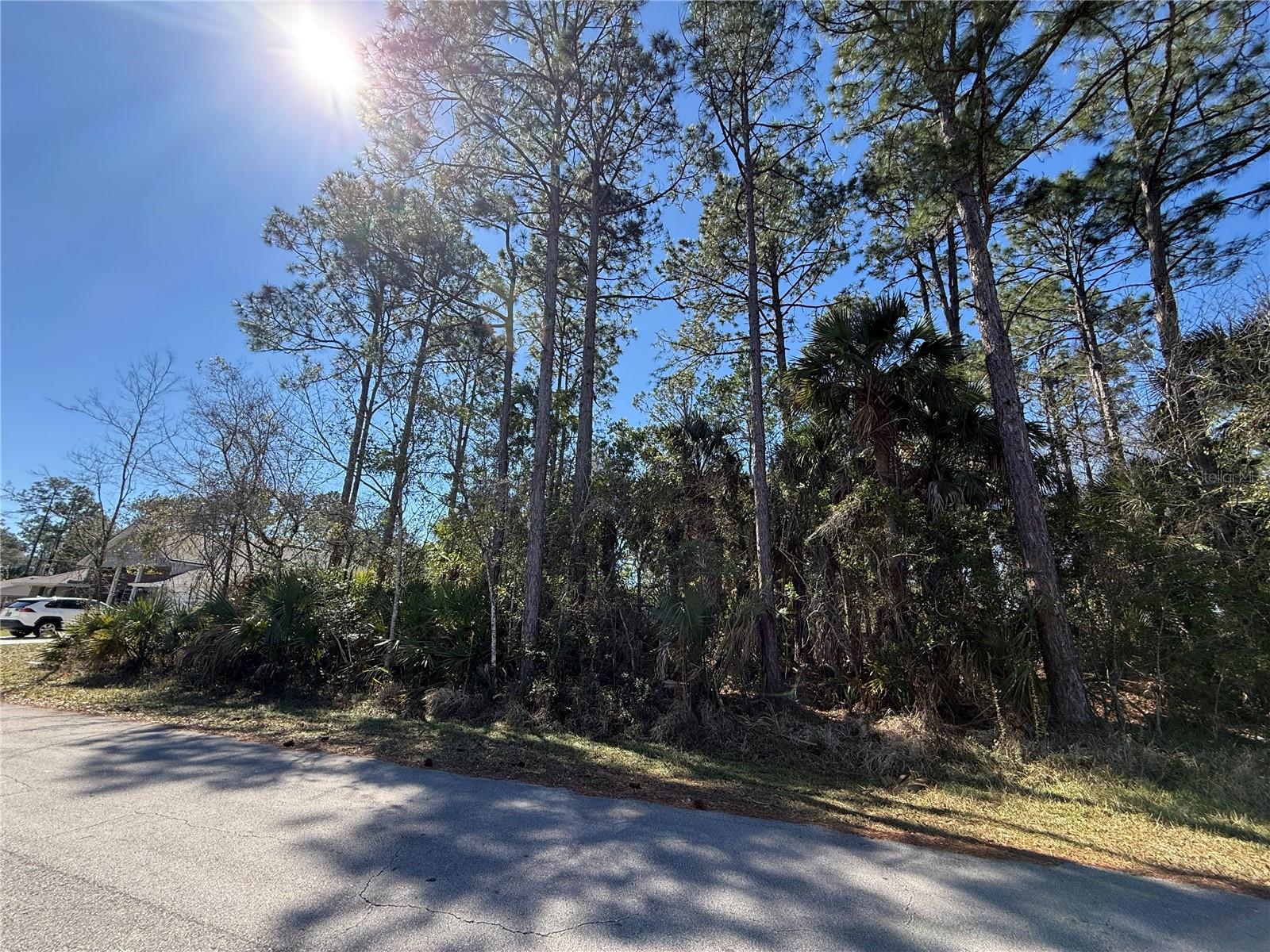 28 Phoenix Lane, FL