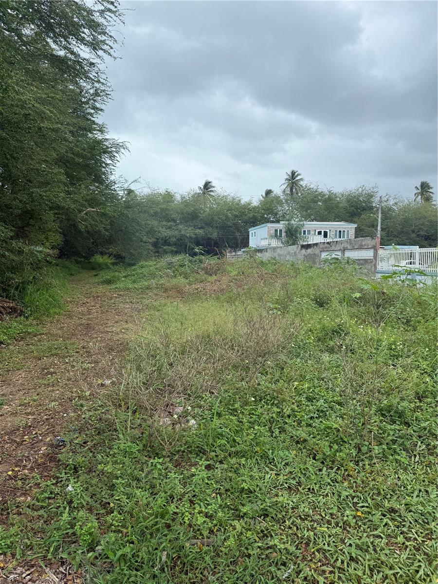 Calle Santillana, PR