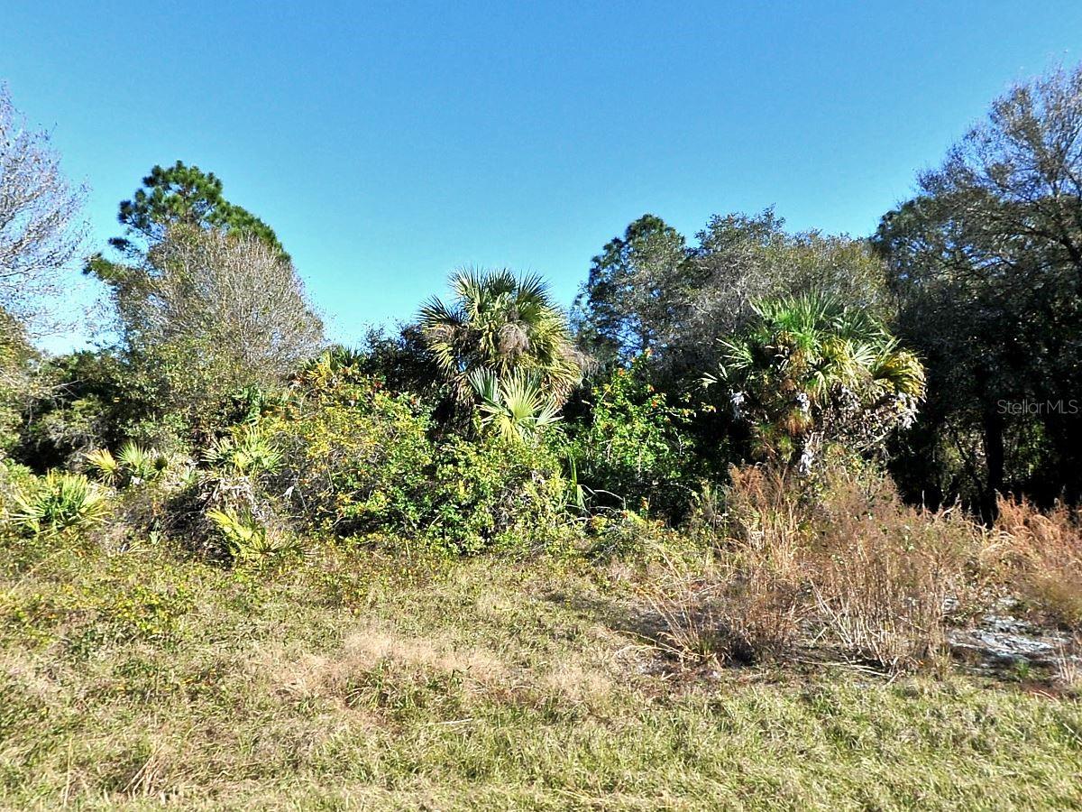 Candlenut St, FL