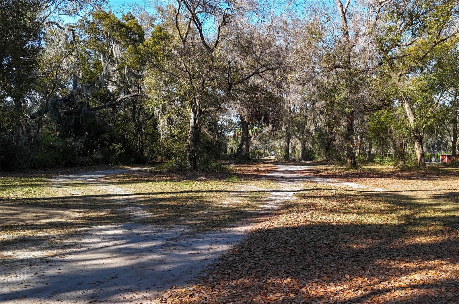 3015 Owls Nest Lane, FL