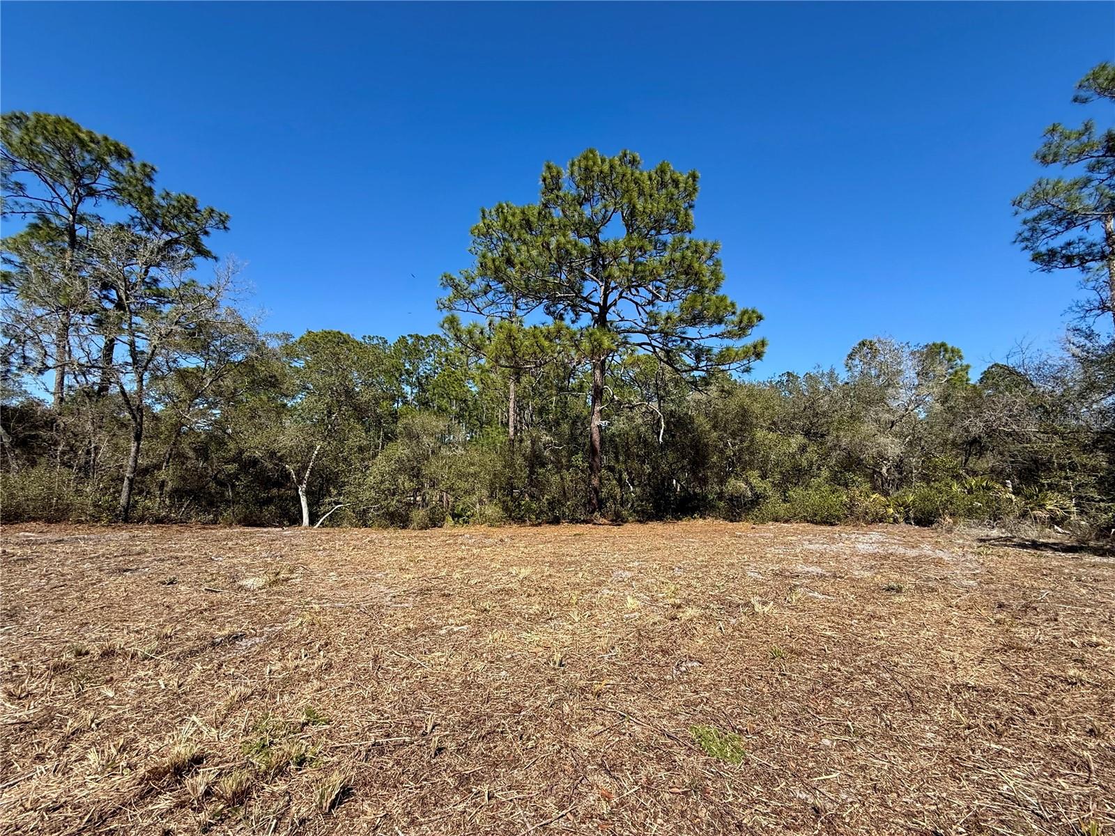 Lot 11 Poinciana St, FL