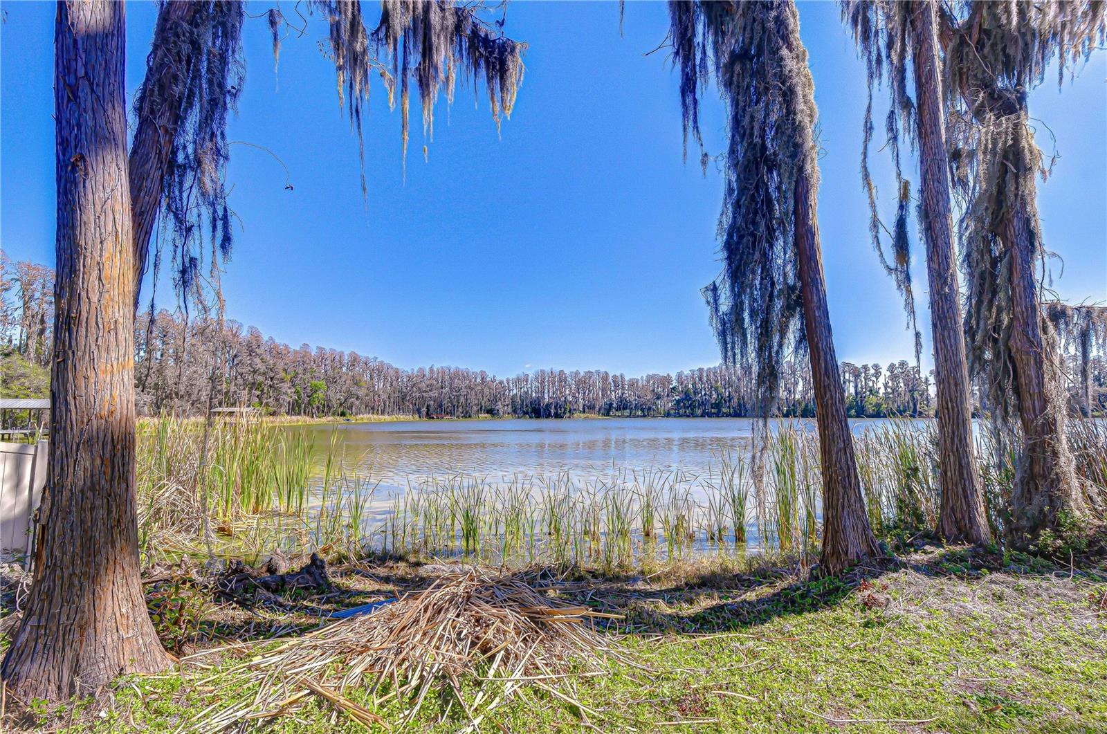 6608 Wisteria Loop, FL