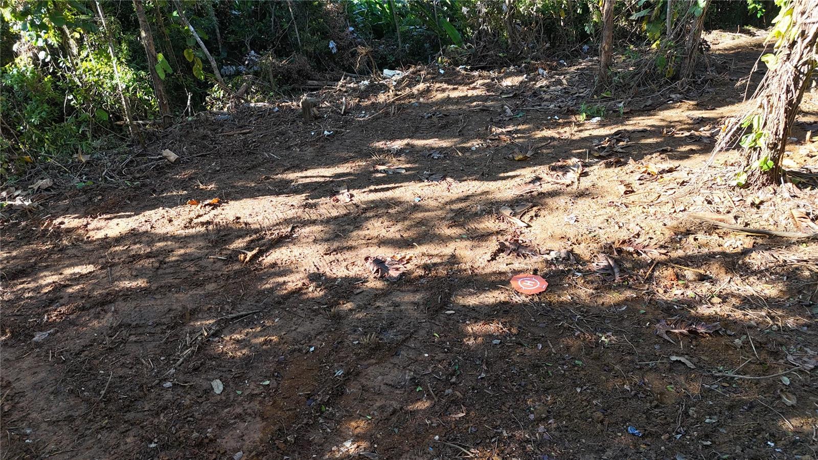 186 Camino Los Reyes, PR