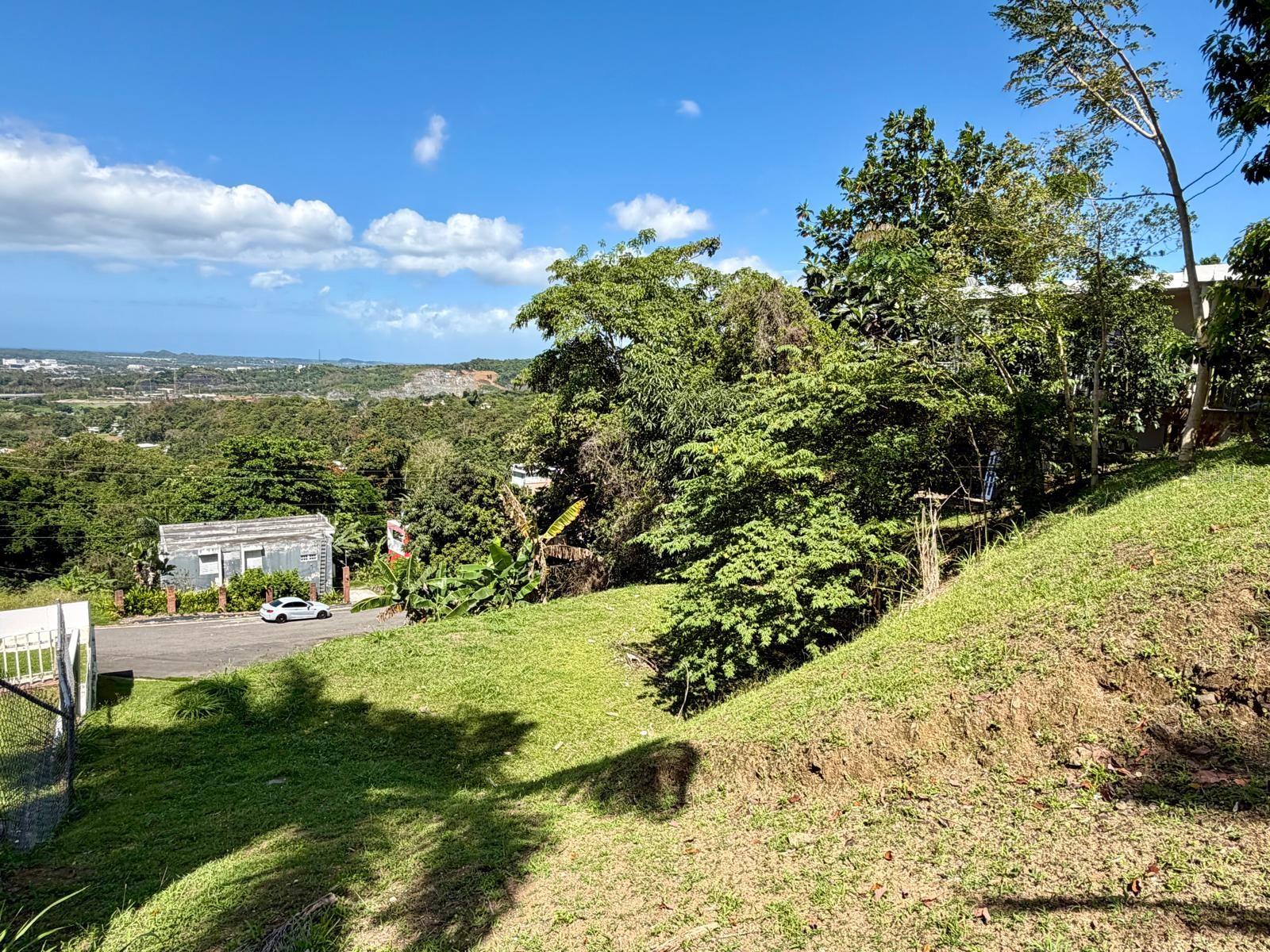 3 Calle Caguax, PR