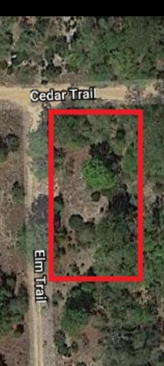 326 Elm Trail, FL