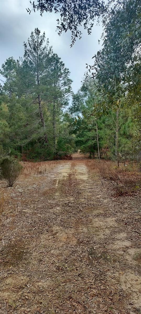 326 Elm Trail, FL