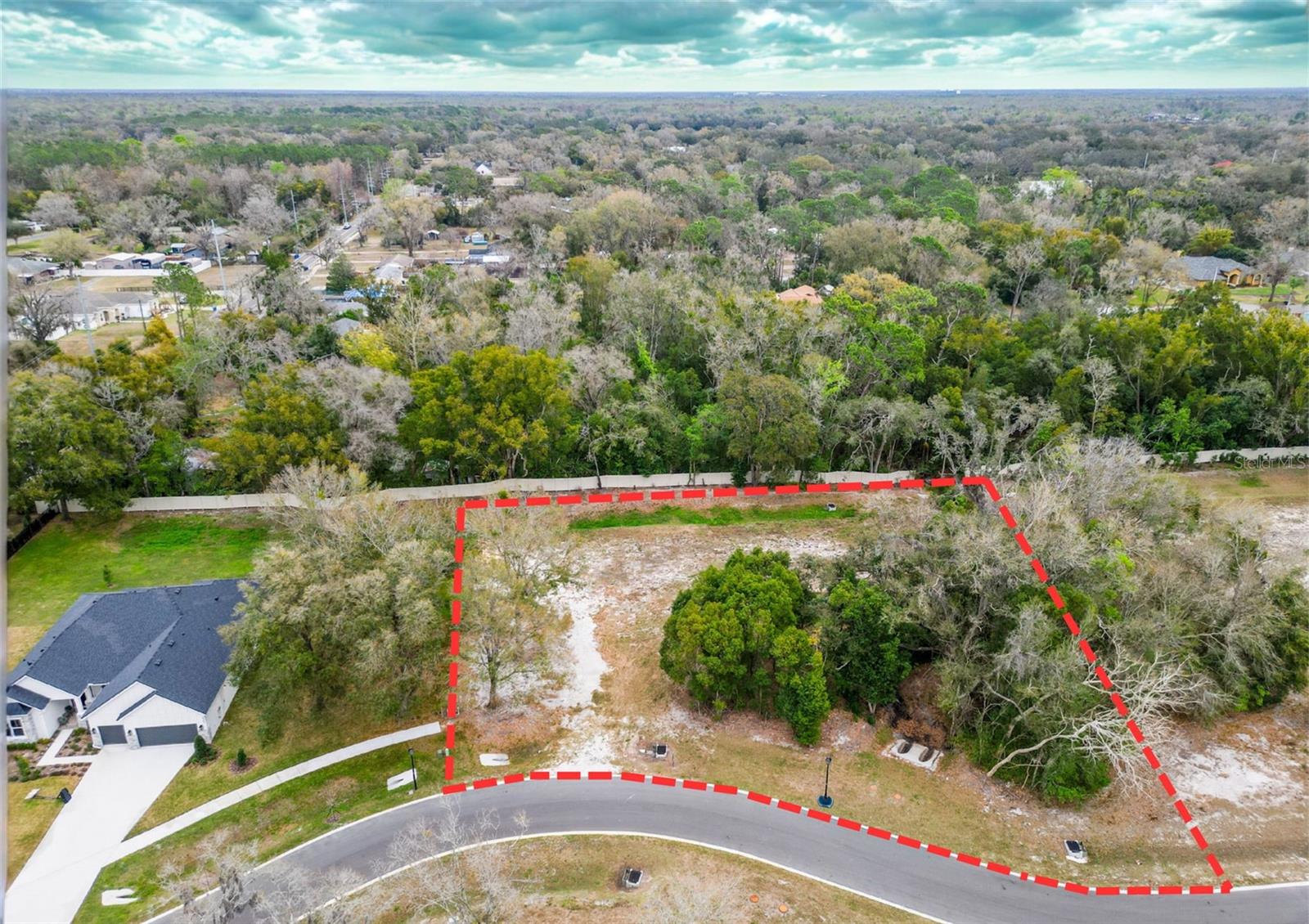 18469 Purple Creek Ln, FL