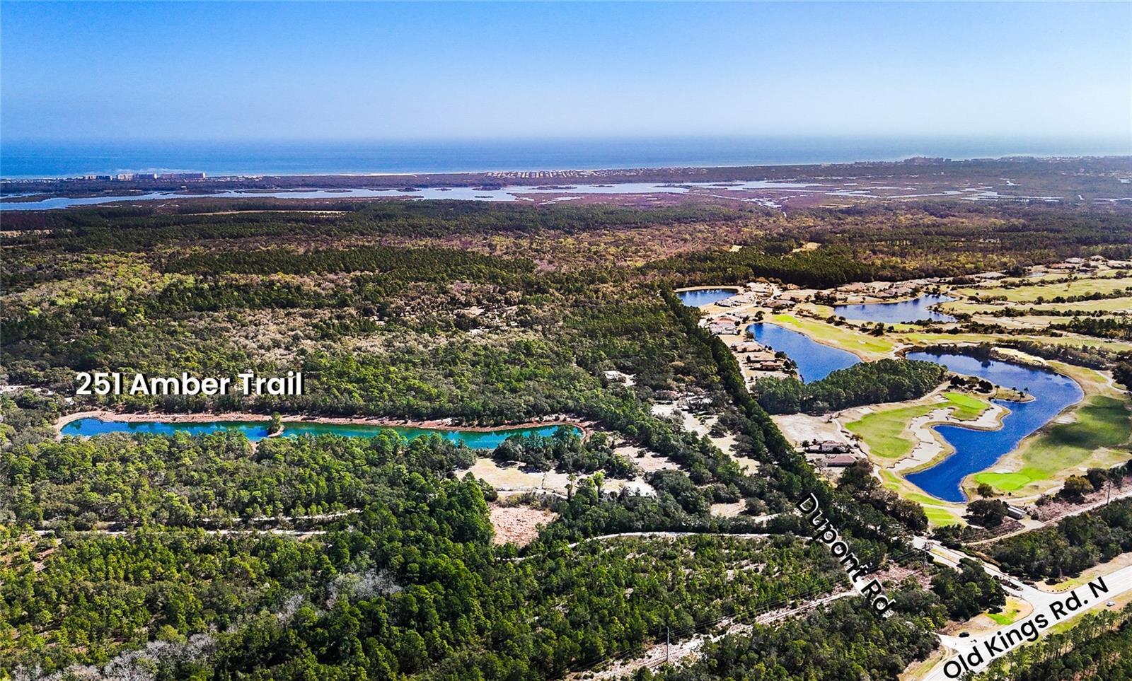251 Amber Trl, FL