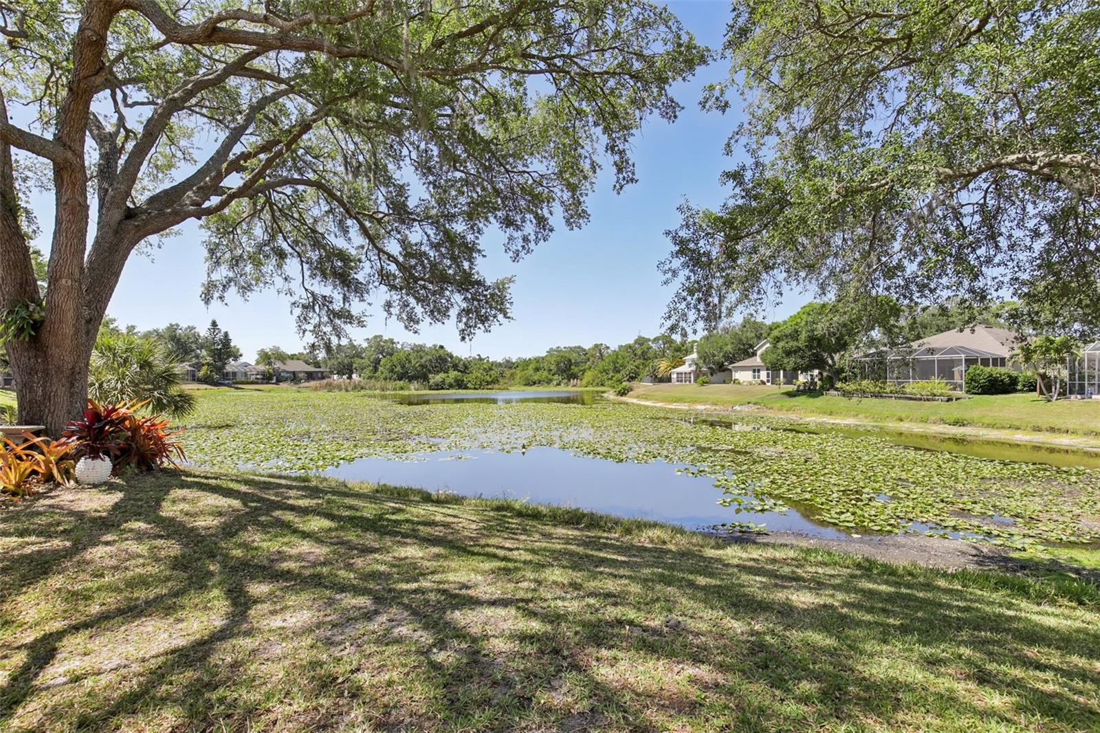 742 Shorecrest Drive, FL