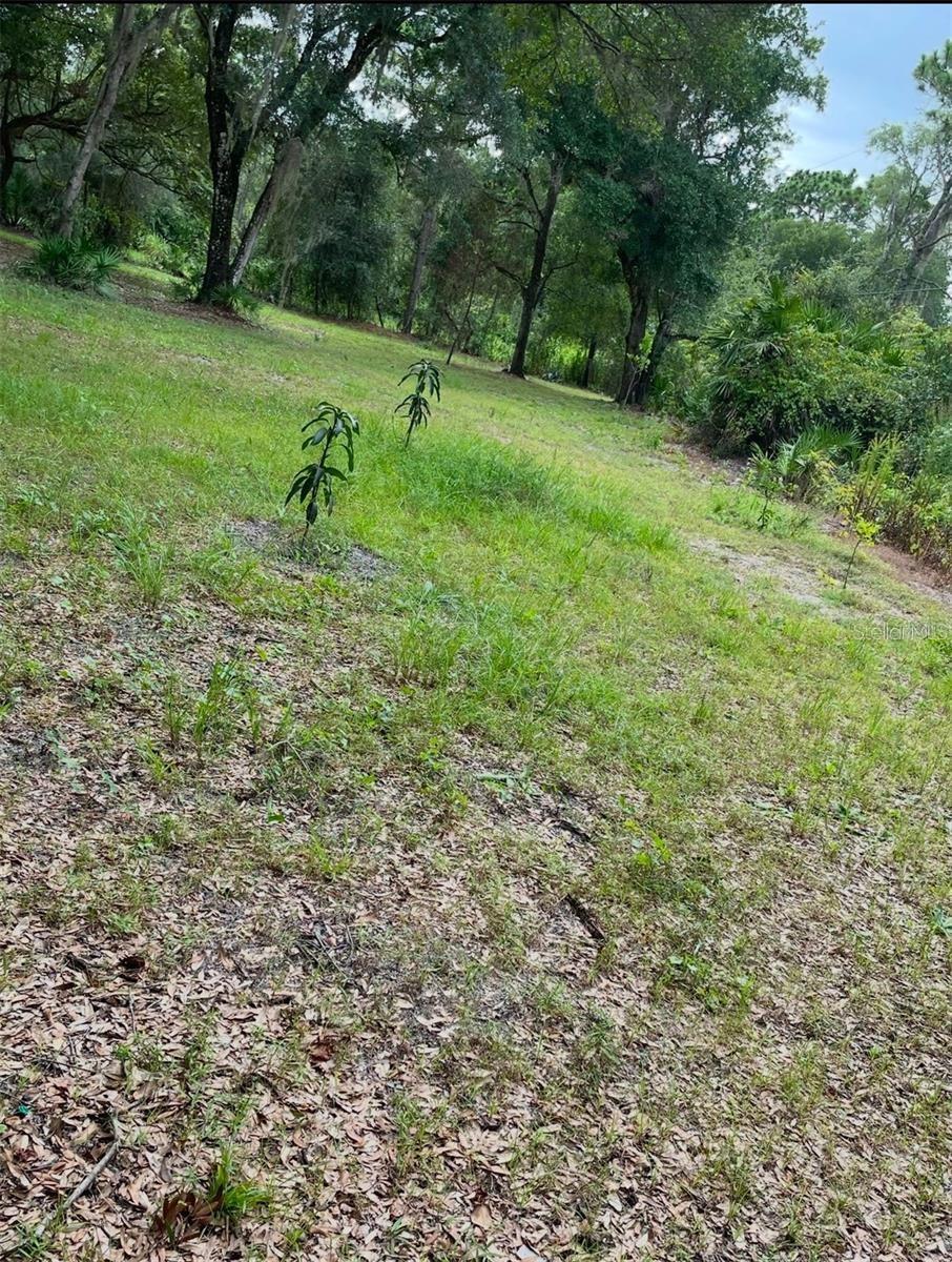 1301 Arapaho Trail, FL
