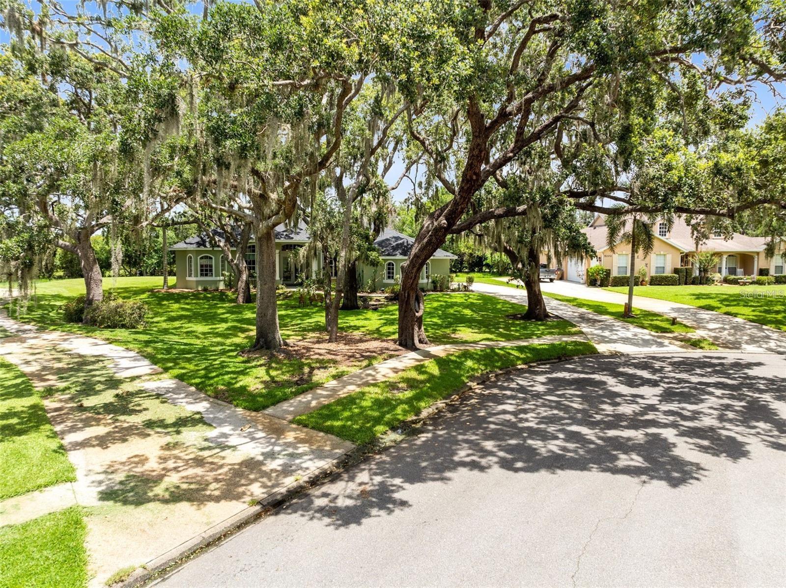 5204 Hammock Pointe Court, FL