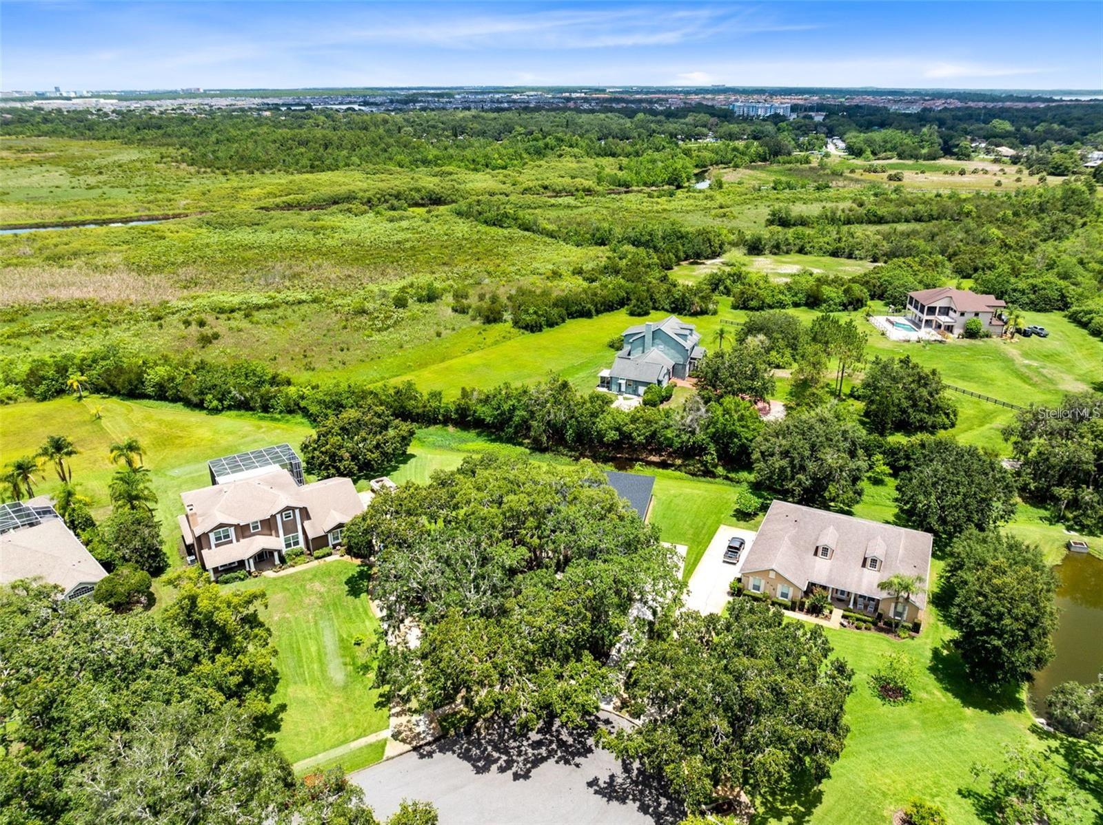 5204 Hammock Pointe Court, FL