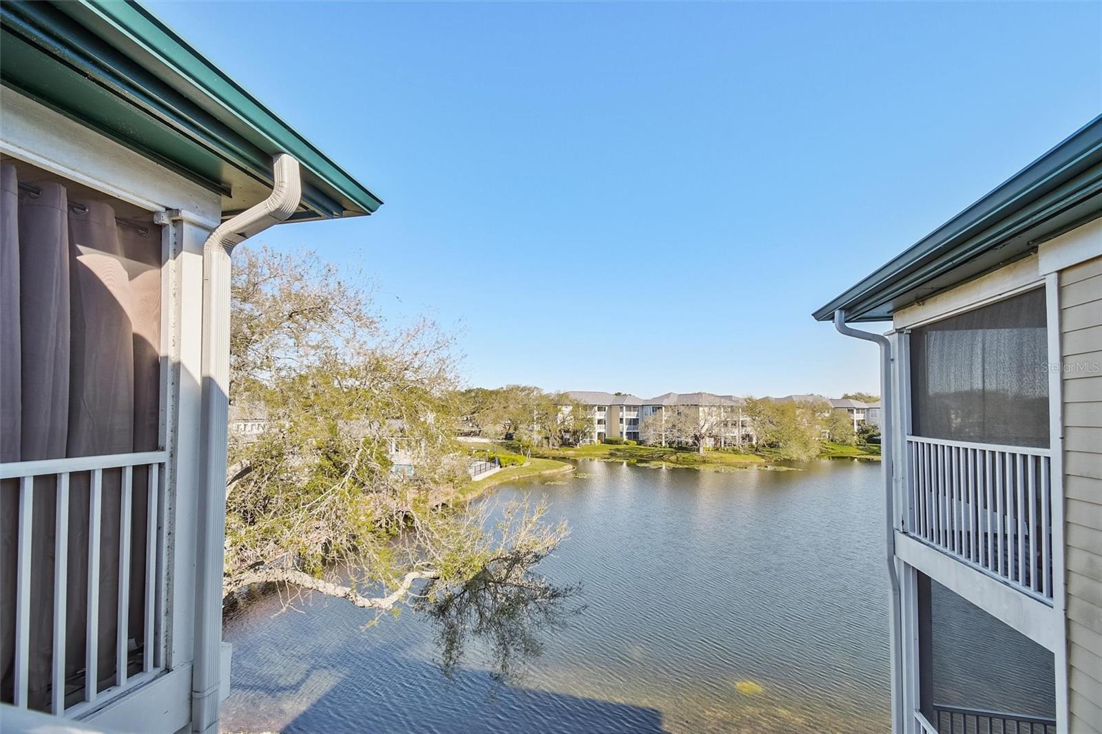 4115 Chatham Oak Court, FL