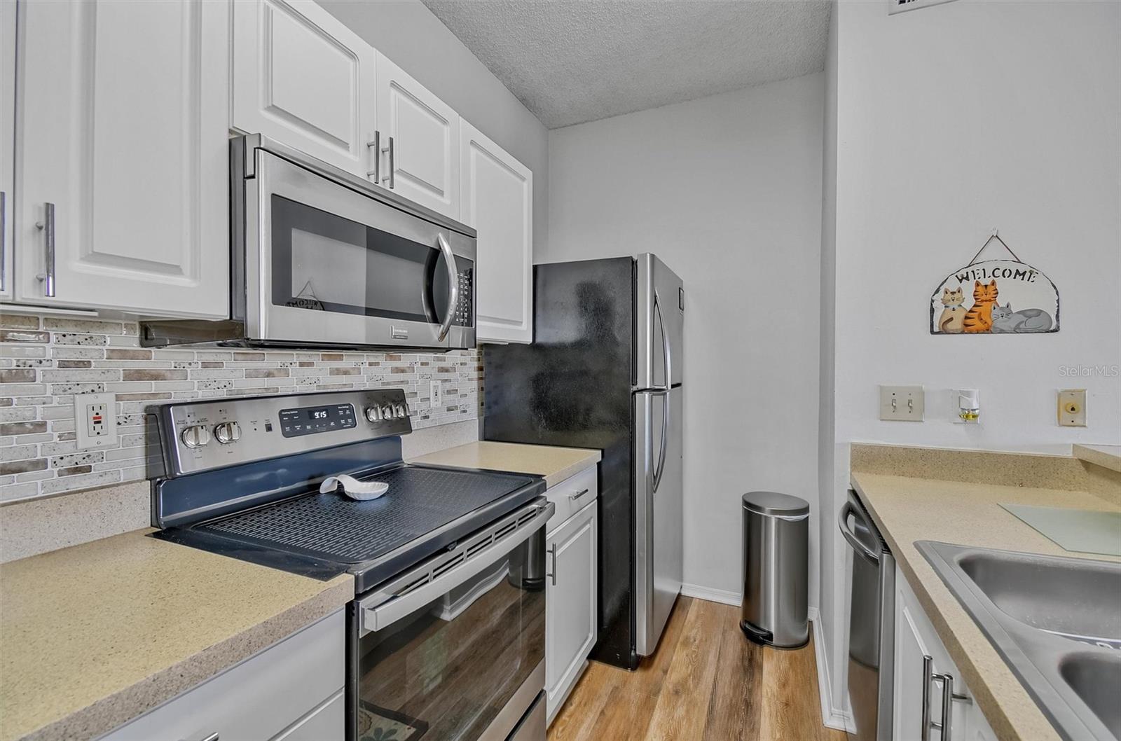 4115 Chatham Oak Court, FL