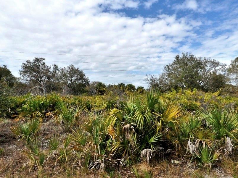 Wylam Drive, FL