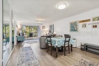 104 Cypress Court, FL