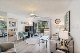 104 Cypress Court, FL