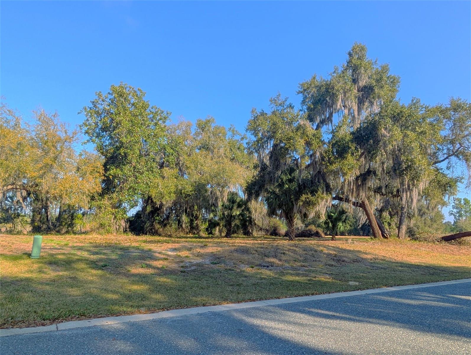 446 Long And Winding Rd, FL