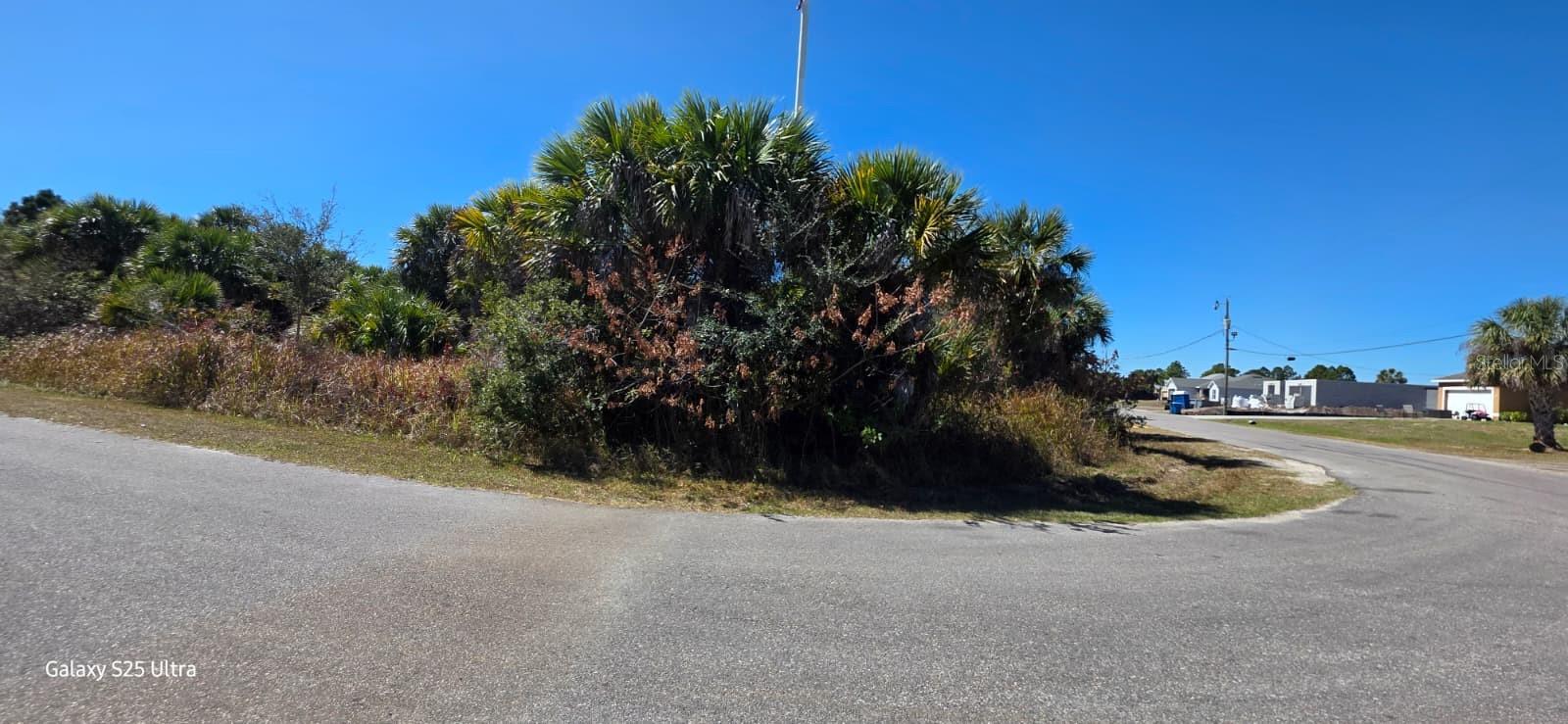 Ferdon Avenue, FL