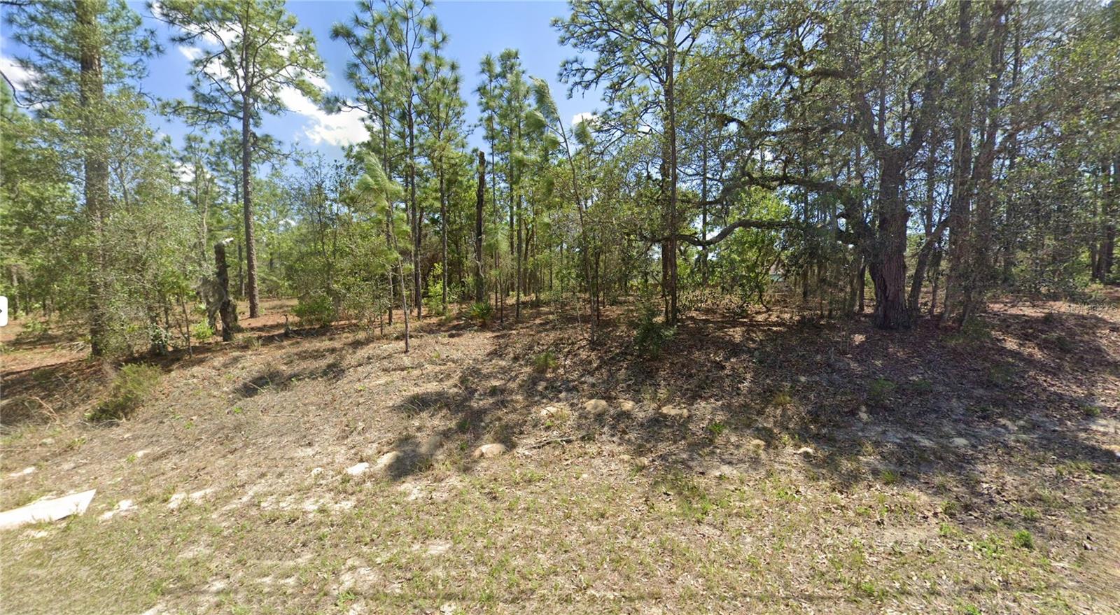 2551 W Sheila Dr, FL