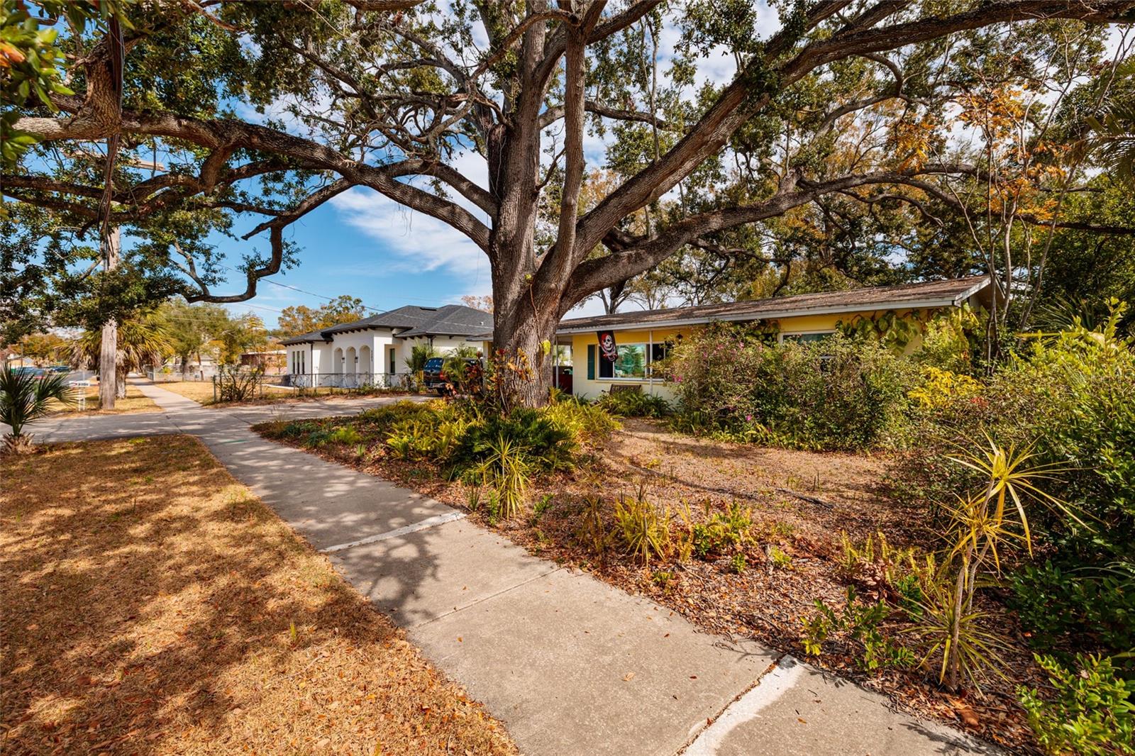 2306 Lois Avenue, FL