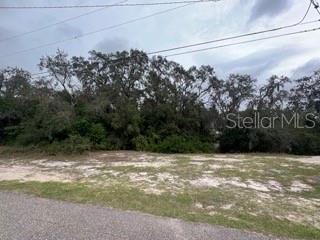 0 Clearwater Drive, FL