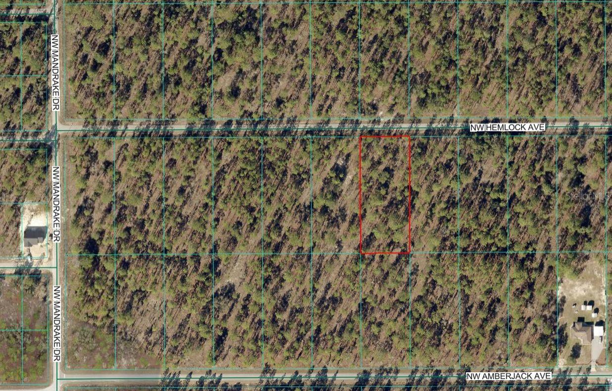 Lot 7 Hemlock Avenue, FL